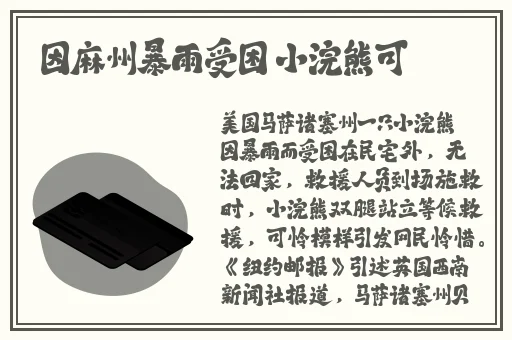 水多多app安卓